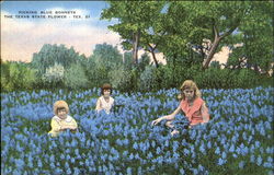 Picking Blue Bonnets Postcard