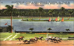 Gulfstream Park Hallandale, FL Postcard Postcard