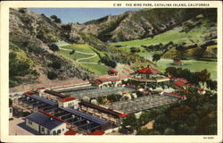 The Bird Park Santa Catalina Island, CA Postcard Postcard