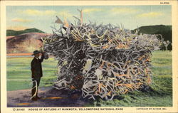 House Of Antlers At Mammoth, Yellowstone National Park Postcard