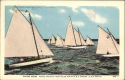 Racing Scene Royal Halifax Yacht Club Nova Scotia Canada Postcard Postcard