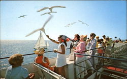 It's Fun Either Way Coming Or Going To The Islands, Martha's Vineyard Postcard