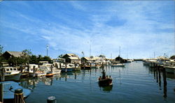 Nantucket Harbor Massachusetts Postcard Postcard