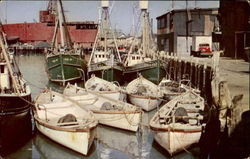 Part Of Gloucester's Famous Fishing Fleet Massachusetts Postcard Postcard