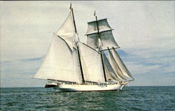 Shenandoah A Square Topsail Schooner, Home Port Vineyard Haven, MA Postcard Postcard