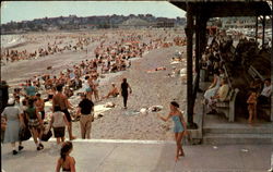 Watching The Bathers Postcard