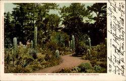 The Arizona Cactus Garden, Hotel Del Monte Monterey Co. California Postcard Postcard