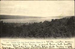 Cayuga Lake From Cornell Heights Postcard