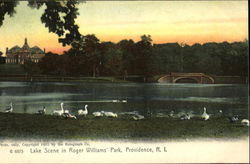 Lake Scene In Roger Williams Park Providence, RI Postcard Postcard