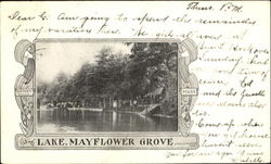 Lake Mayflower Grove Postcard