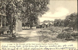 In The Grounds Of The State Lunatic Asylum Taunton, MA Postcard Postcard