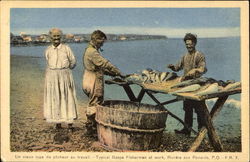 Typical Gaspe Fishermen At Work Quebec Canada Postcard Postcard