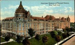 American Museum Of Natural History New York City, NY Postcard Postcard