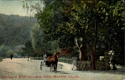 Entrance In Shady Lane Ross Valley, CA Postcard Postcard