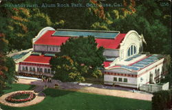 Natatorium Alum Rock Park Postcard