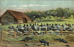 At The Mcpherson Barn Gettysburg, PA Postcard Postcard