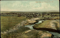 Cattle Range Near Dickinson Postcard