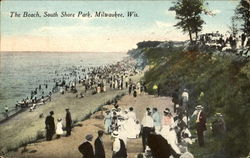 The Beach, South Shore Park Postcard