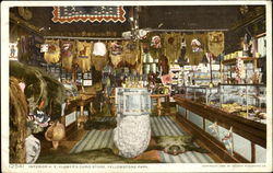 Interior H. E. Klamer's Curio Store, Yellowstone Park Postcard