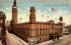 The Madison Square Garden Postcard