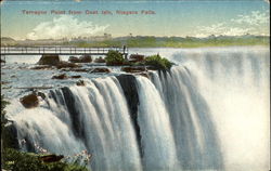 Terrapin Point From Gaot Isle Niagara Falls, NY Postcard Postcard