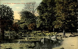 Lily Pond, Washington Park Albany, NY Postcard Postcard