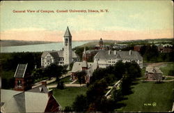 General View Of Campus, Cornell University Ithaca, NY Postcard Postcard