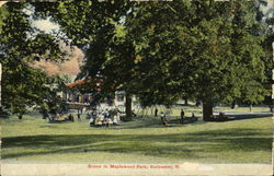 Scene In Maplewood Park Postcard