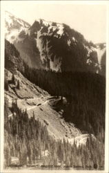 Switchbacks Narada, Paradise Road Mount Rainier National Park Postcard Postcard