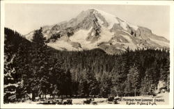 The Mountain From Longmire Springs, Rainier National Park Postcard