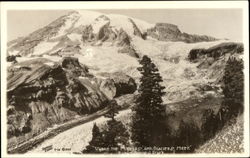 Where The Flowers And Glaciers Meet, Rainier National Park Postcard