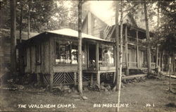 The Waldheim Camp's Postcard