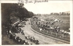 The Fair Grounds Whitney Point, NY Postcard Postcard