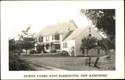 Durgin Farms Postcard