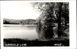 Ashfield Lake Massachusetts Postcard Postcard