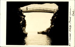 Sun Set Cliffs Point Loma Postcard