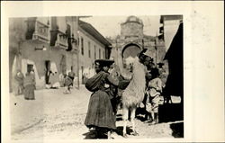 An Indian Woman With Llama Cuzco, Peru Postcard Postcard