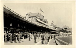 The Grand Stand At The Race Track Postcard