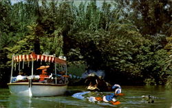 Jungle River Cruise Disney Postcard Postcard