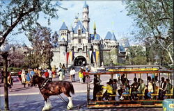 Sleeping Beauty Castle Disney Postcard Postcard