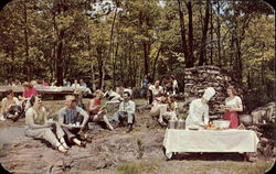 Outdoor Picnic, Panoramic Paradise Valley Cresco, PA Postcard Postcard