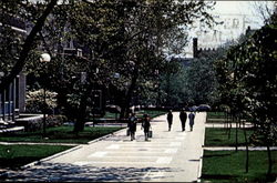 Locust Walk University Of Pennsylvania Postcard