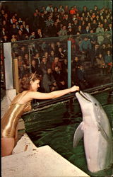 Aquarium Theatre Of The Sea Philadelphia, PA Postcard Postcard