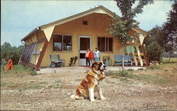 Camp Store And Holly The Camp Mascot Postcard