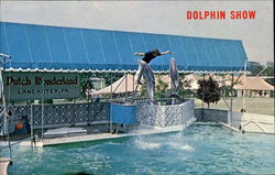 Dolphin Show, U. S. Route 30 East Postcard