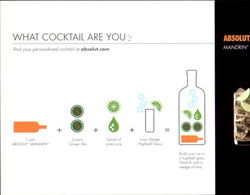 What Cocktail Are You? Postcard