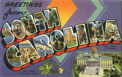 Greetings from South Carolina Postcard Postcard