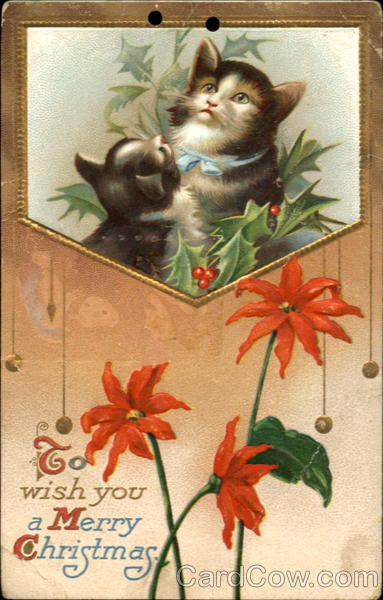 To Wish You A Merry Christmas With Cats