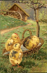 Easter Greetings With Chicks Postcard Postcard