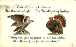 Our National Birds Turkeys Postcard Postcard